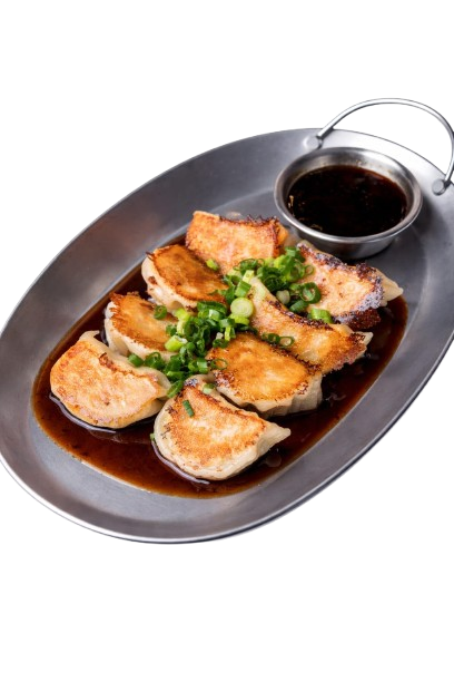 Pan fried chicken dumplings